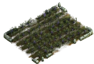 Vineyard (field)