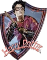 Harry Potter™ Quidditch™ Badge (Painting) - Harry Potter and the Prisoner of Azkaban™.png