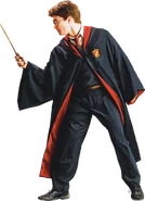 Harry in Robe with Wand (Painting) - Harry Potter and the Half-Blood Prince™