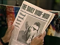 DailyWoofWoof.jpg