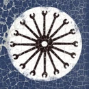 H ephemeraa 0