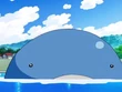 EP578 Wailord