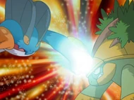 EP578 Swampert usando puñodinámico sobre Grotle