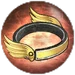 Swift Anklet