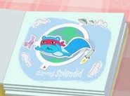 Splendid tv