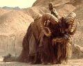Bantha-ST.jpg
