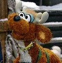 Reindeer