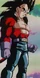 VegetaSS4DBGT01