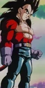 VegetaSS4DBGT01