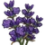 Lavender-icon