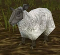 Elwynn Lamb Eating Grass.png
