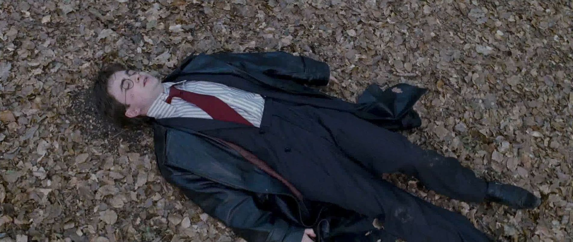 Harry_lying_on_the_ground.jpg