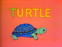 Turtle.Hale.jpg