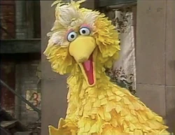 Bigbird76