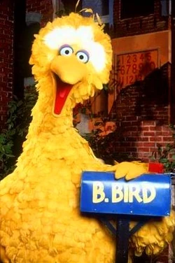 Bigbirdmailbox1990ish