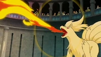 P08 Ninetales