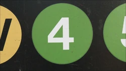 Murray4