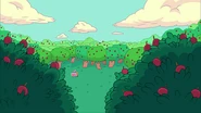 Tree Trunks