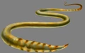 Gehirn-Wurm.jpg
