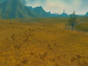 The Dust Plains