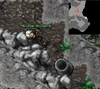 Pot Spawn