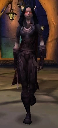 Image of Dark Ranger Clea