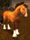 Havenshire Stallion