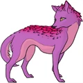 Kangur reject.png