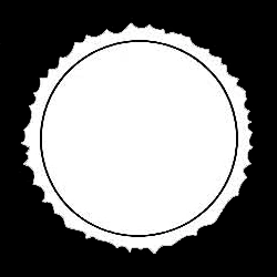 Bissillirus