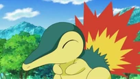 EP624 Cyndaquil de Maya