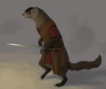 Anotherferret.jpg