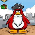 Rockhopperbob