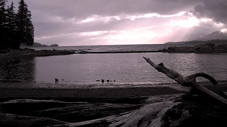 Low tide1.jpg