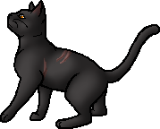 Die WindClan-Chroniken Cinderfur.deputy