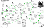 Timeline