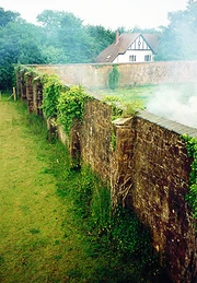 Walled garden.jpg