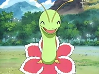 EP438 Meganium (2)