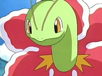 EP438 Meganium (6)