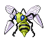 Beedrill E variocolor