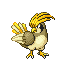 Pidgeotto E variocolor
