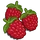 Raspberry-icon