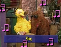 Bigbird-sing