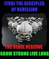 THE REBEL RESERVE