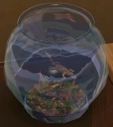 Crocodileinafishbowl