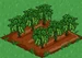 Soybean 100