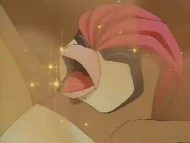 EP032 Pidgeotto recibiendo somnífero