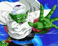 Piccolo 322