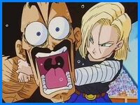 Mr satan vs c18