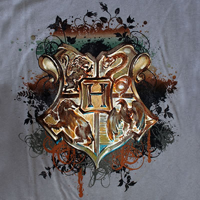 <img:http://images2.wikia.nocookie.net/__cb20091220170734/harrypotter/images/8/8a/Hogwarts_Crest_design_for_Gray_T-Shirt.jpg>