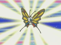 EP354 Beautifly usando sol matinal